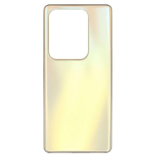 BACK COVER INF ZERO 30 4G GOLD